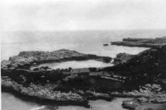 langostero2